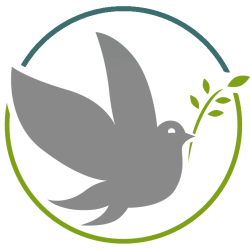 PF CANARD DIGOIN - Simulateur STONEST